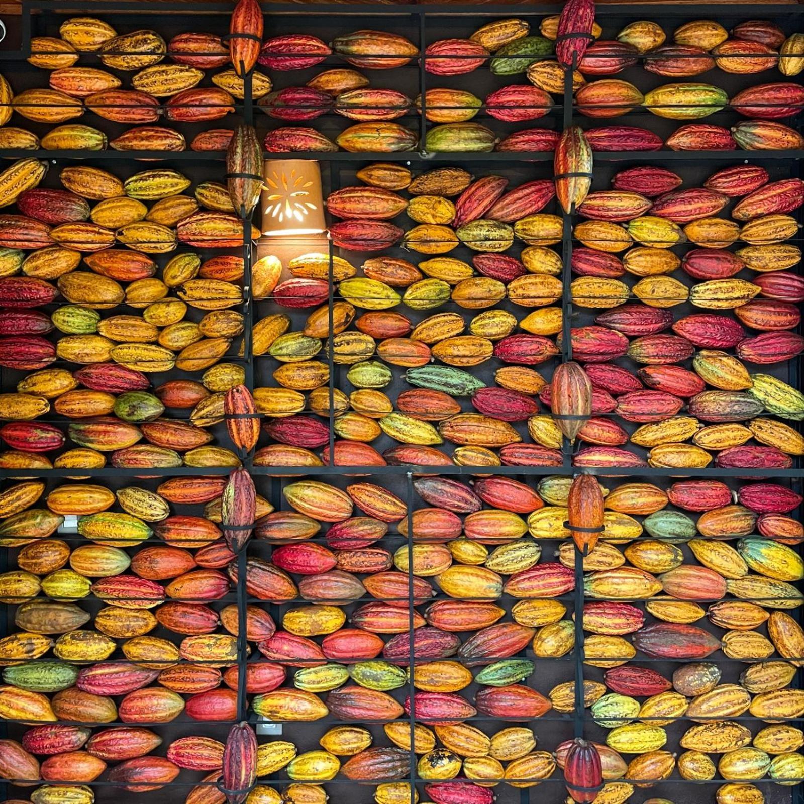 Chocolate Hotel Itacare Luaran gambar